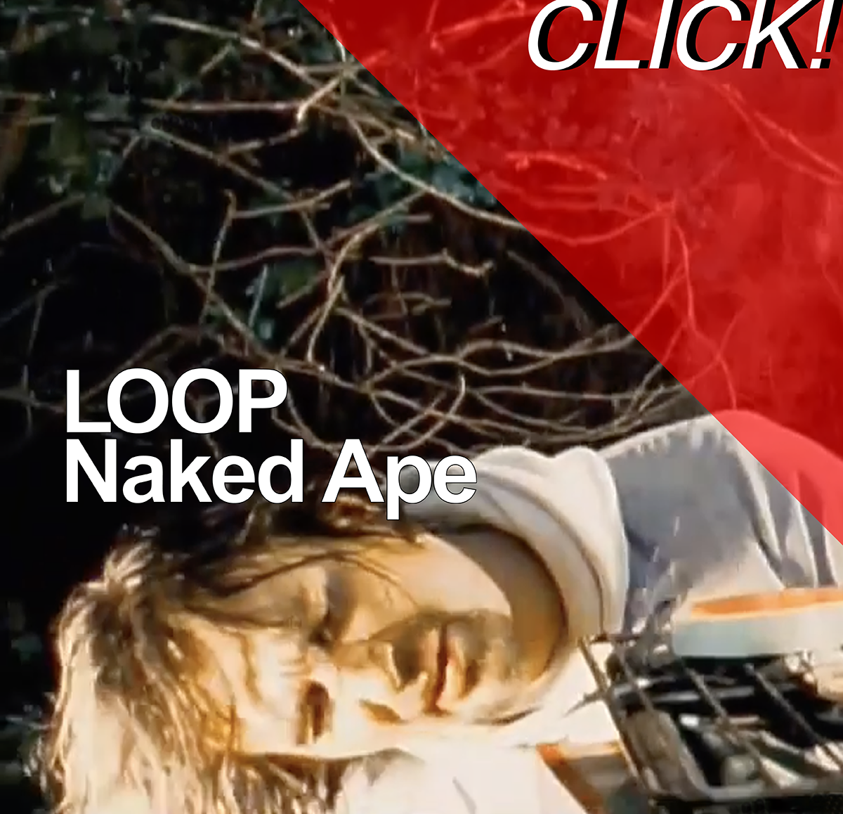 Naped Apex