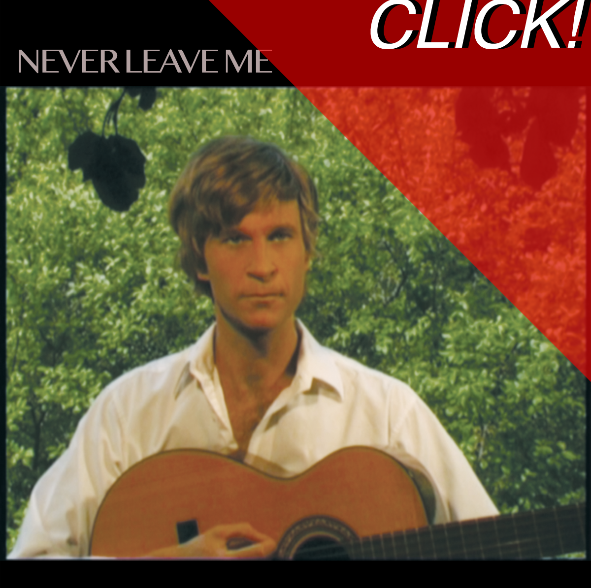 Never Leave Me